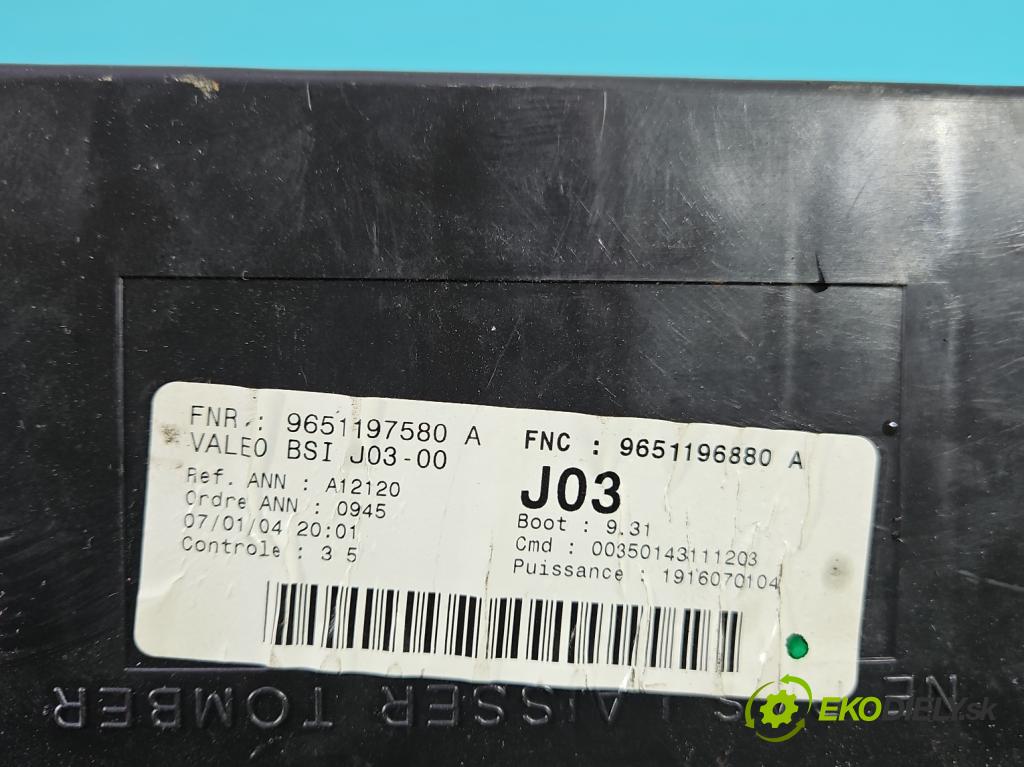 Peugeot 307 2.0 HDI 107 HP manual 79 kW 1997 cm3 5- riadiaca jednotka ostatné 9651196880A