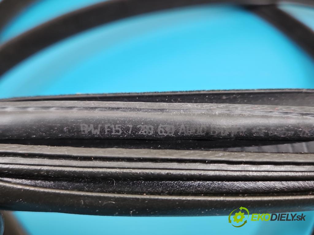 Bmw X5 F15 2013-2018 3.0d 258 hp automatic 190 kW 2993 cm3 5- Těsnění: dveře zadní levé 7289639 (Karoserie ostatní)