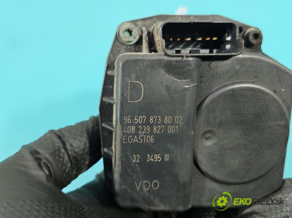 Citroen C5 I 2001-2008 1.8 16V 125 HP manual 92 kW 1749 cm3 5- klapka 9650787380 (Škrtiaca klapka)