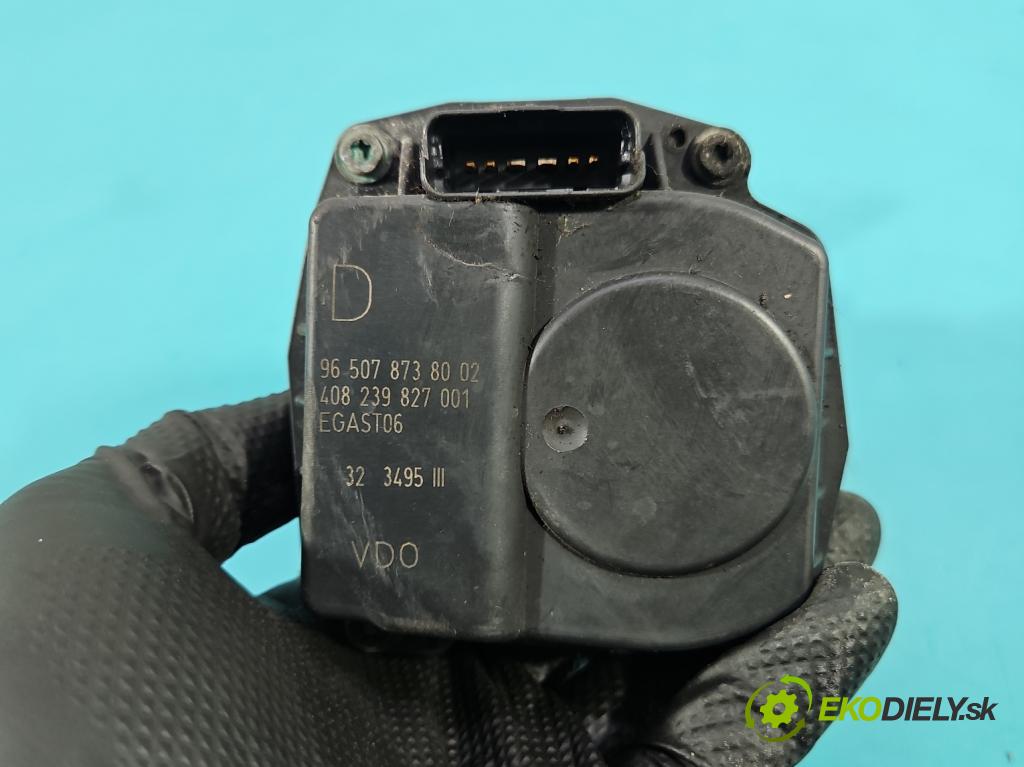 Citroen C5 I 2001-2008 1.8 16V 125 HP manual 92 kW 1749 cm3 5- klapka 9650787380 (Škrtiaca klapka)