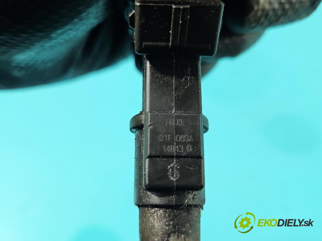 Peugeot 307 2.0 16V 136 HP manual 100 kW 1997 cm3 5- vstrek 01F003A (Vstrekovač paliva)