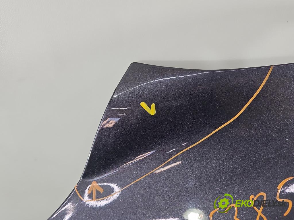 Hyundai Elantra VI 2015-2020 1.6 16V 128 hp automatic 94 kW 1591 cm3 4- blatnik přední levý  (Levý přední blatník)