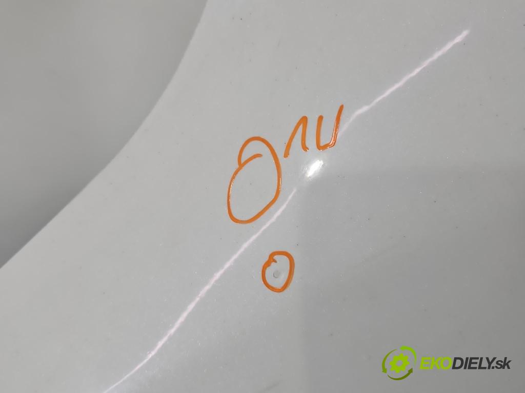 Renault Megane III 2008-2016 1.4 TCE: 131 hp manual 96 kW 1397 cm3 5- blatnik přední levý  (Levý přední blatník)