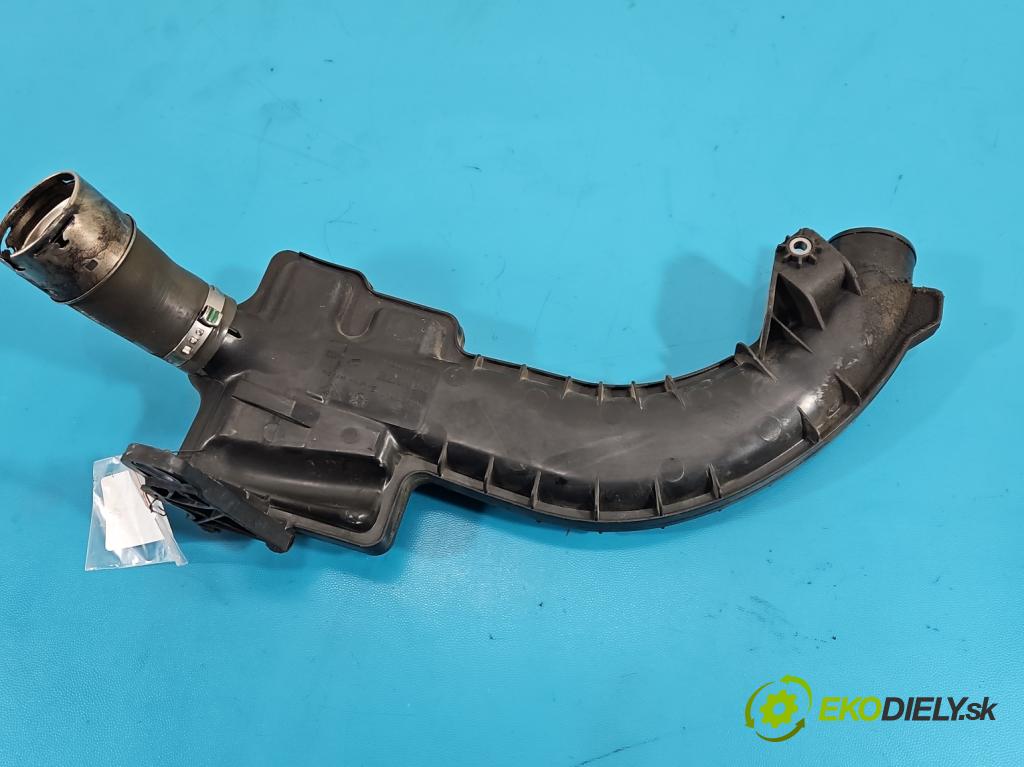Renault Megane III 2008-2016 1.4 TCE: 131 HP manual 96 kW 1397 cm3 5- Trubka: 8200860017