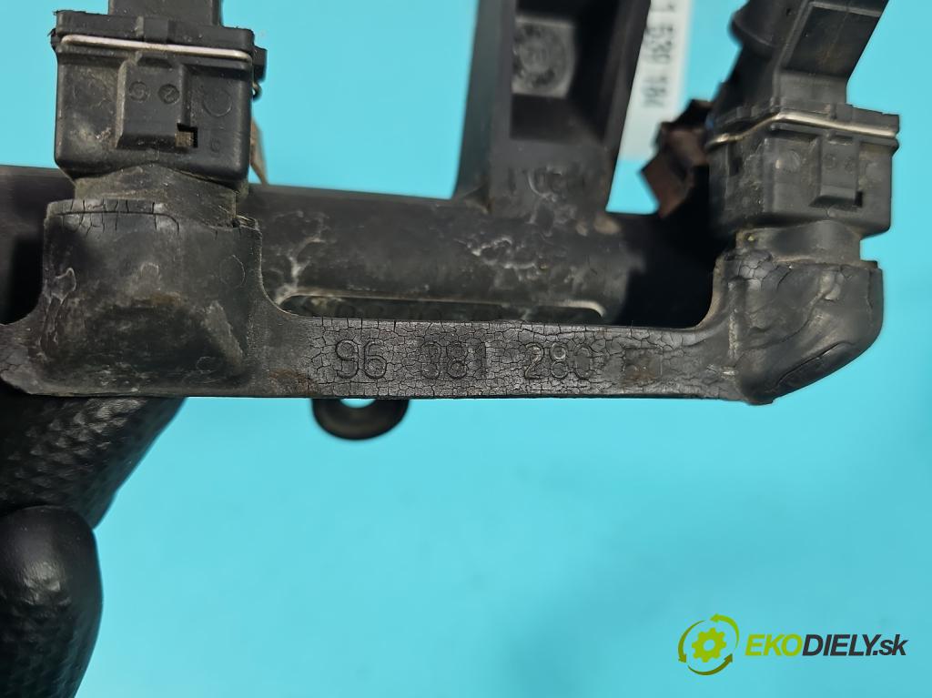 Peugeot 307 1.4 8V 75 HP manual 55 kW 1360 cm3 5- vstrek 01F002A (Vstrekovač paliva)