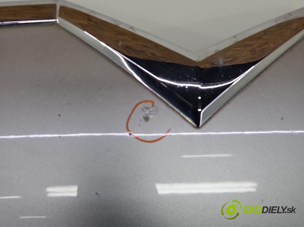 Citroen C5 II 2008-2017 2.0 hdi 136 HP automatic 100 kW 1997 cm3 4- kapota predná