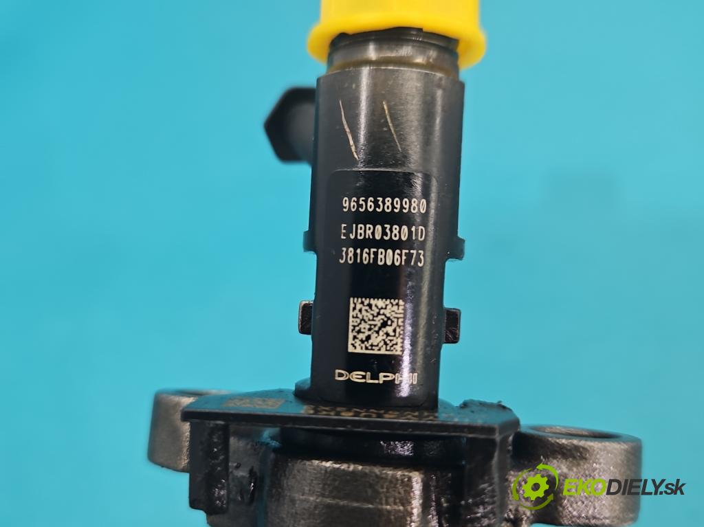 Citroen C5 II 2008-2017 2.0 hdi 136 HP automatic 100 kW 1997 cm3 4- vstrek 9656389980 (Vstrekovač paliva)