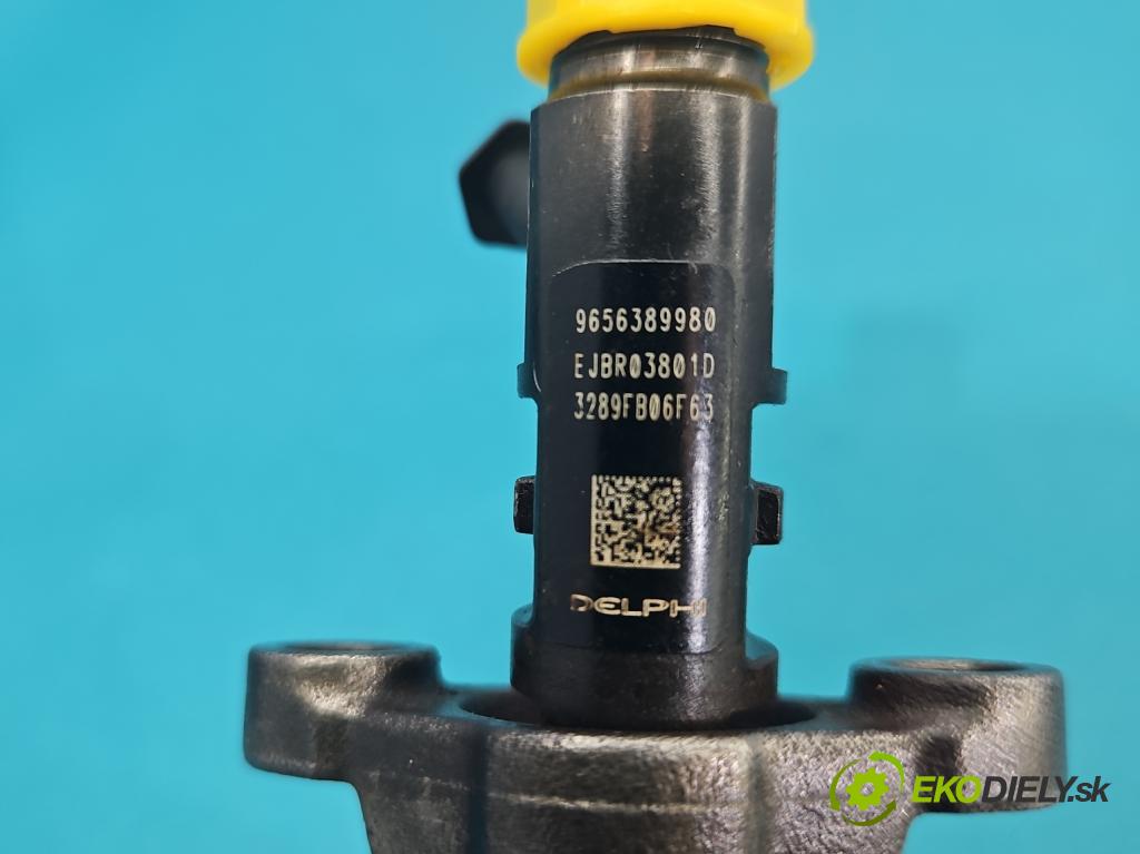 Citroen C5 II 2008-2017 2.0 hdi 136 HP automatic 100 kW 1997 cm3 4- vstrek 9656389980 (Vstrekovač paliva)