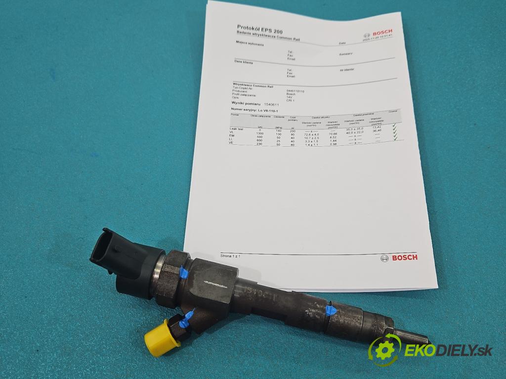 Renault Megane II 2003-2008 1.9 dci 120 HP manual 88 kW 1870 cm3 5- vstrek 0445110110 (Vstrekovač paliva)