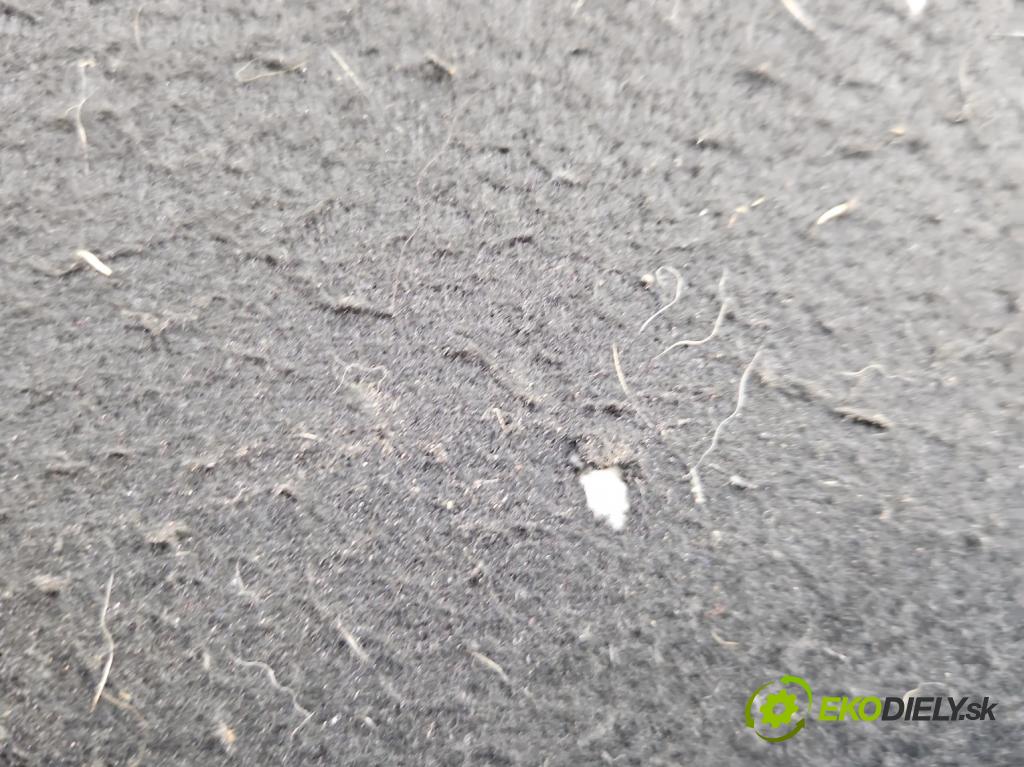 Renault Scenic III 2009-2016 1.5 dci 95 HP manual 70 kW 1461 cm3 5- zadná  (Pláto kufra)