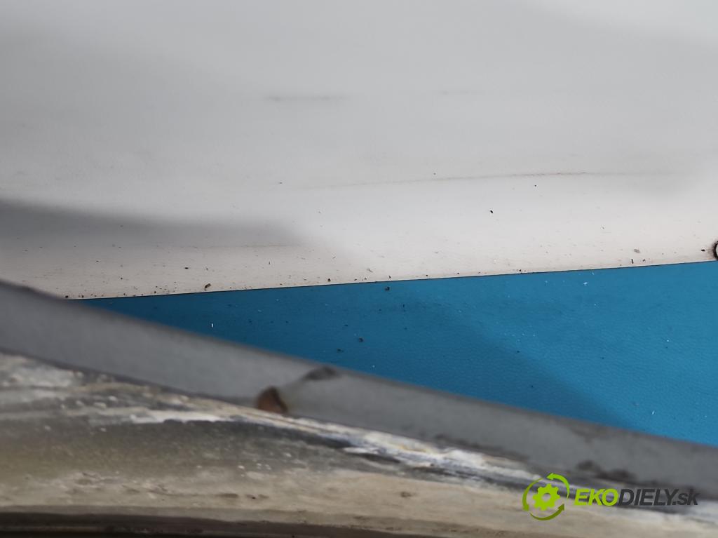 Vw Passat B6 2005-2010 2.0 tdi 140 hp automatic 103 kW 1968 cm3 4- blatnik přední levý  (Levý přední blatník)