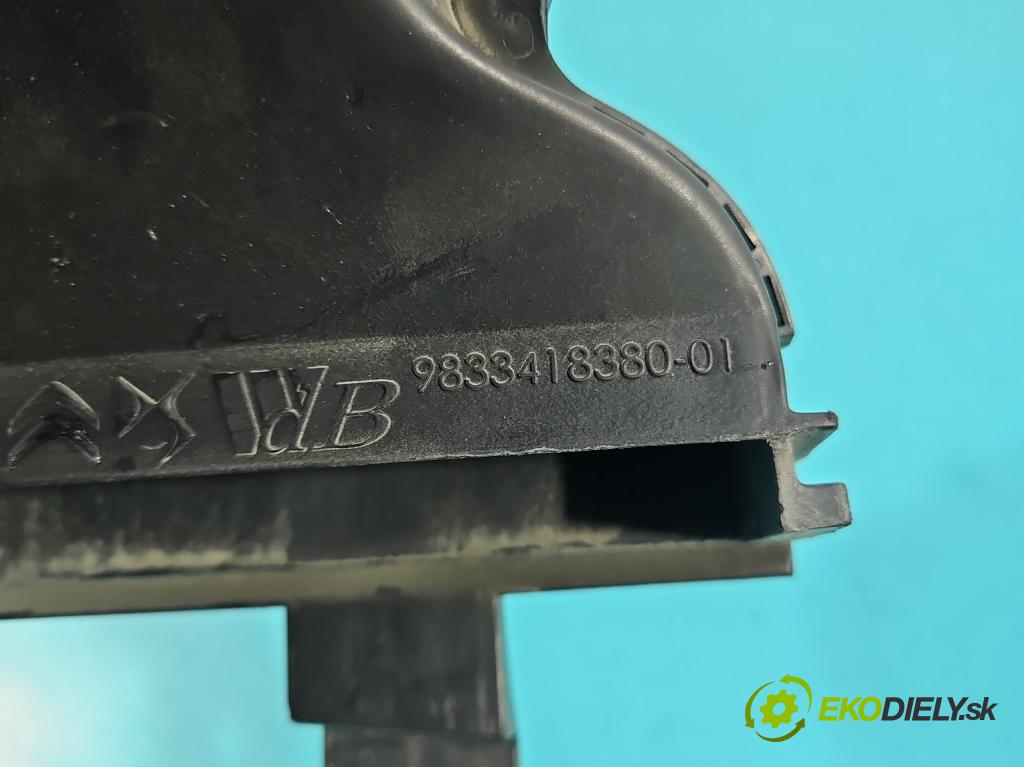 Peugeot 2008 II 2019- 1.2 12V 131 HP automatic 96 kW 1199 cm3 5- Trubka: 9833418380