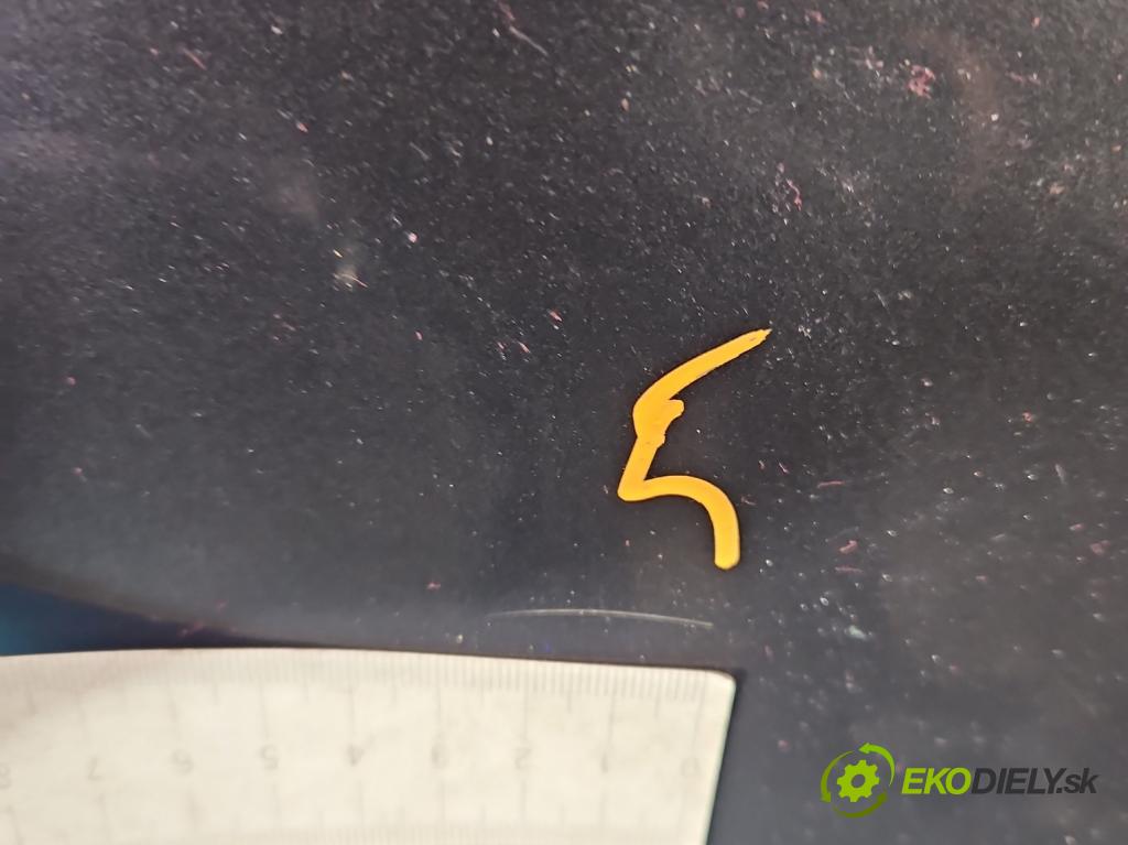 Renault Scenic III 2009-2016 1.9 dci 131 hp manual 96 kW 1870 cm3 5- zadní kufrové dveře  (Zadní kapota (kufr))