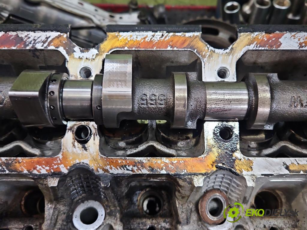 Renault Scenic III 2009-2016 1.9 dci 131 HP manual 96 kW 1870 cm3 5- Hlava: motora F9QH870