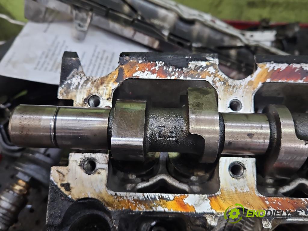 Renault Scenic III 2009-2016 1.9 dci 131 HP manual 96 kW 1870 cm3 5- Hlava: motora F9QH870