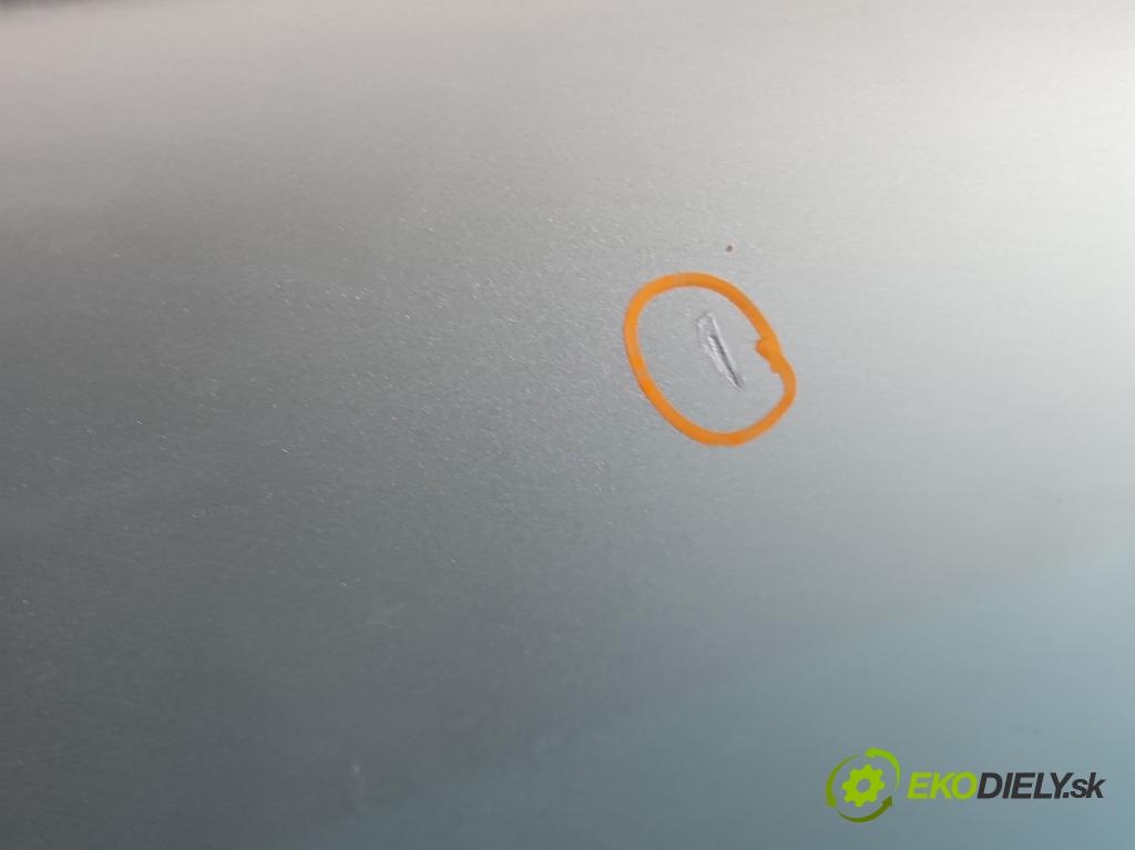 Bmw 5 E39 1996-2003 2.0 R6 (m52b20) 150 HP manual 110 kW 1991 cm3 4- dvere predné ľavé  (Kľučka dverí ostatné)