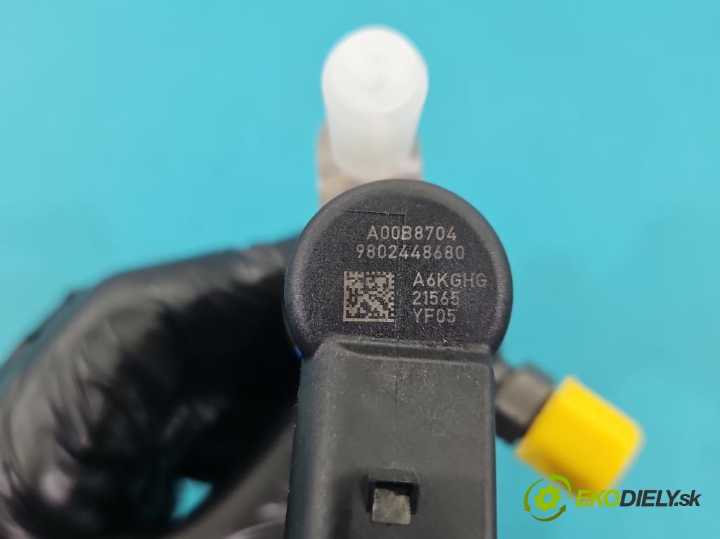 Peugeot 5008 I 2009-2017 1.6 hdi 111KM manual 82 kW 1560 cm3 5- vstřikovač 9802448680 (Vstřikovač paliva)