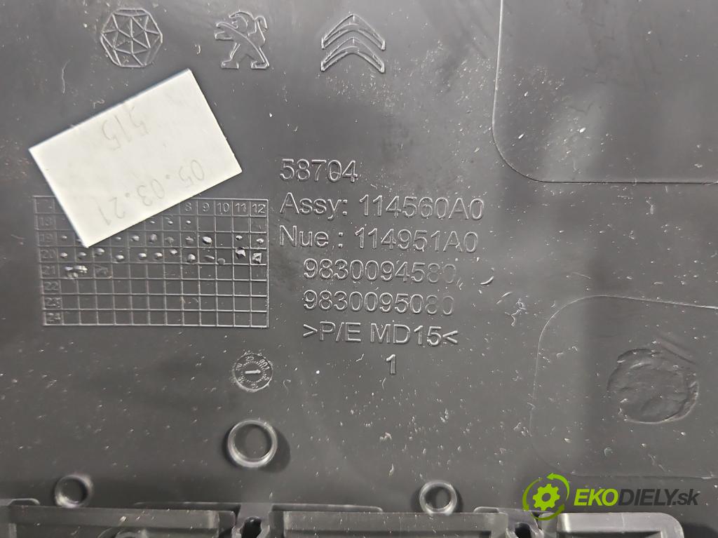 Peugeot 2008 II 2019- 1.2 12V 131 HP automatic 96 kW 1199 cm3 5- obal 9830094580