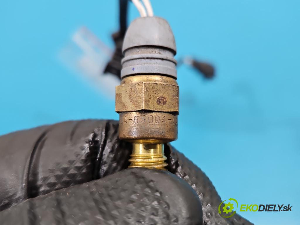 Ford B-Max  1.0 T 101 HP manual 74 kW 998 cm3 5- snímač teploty: výfukové F903A (Snímač)