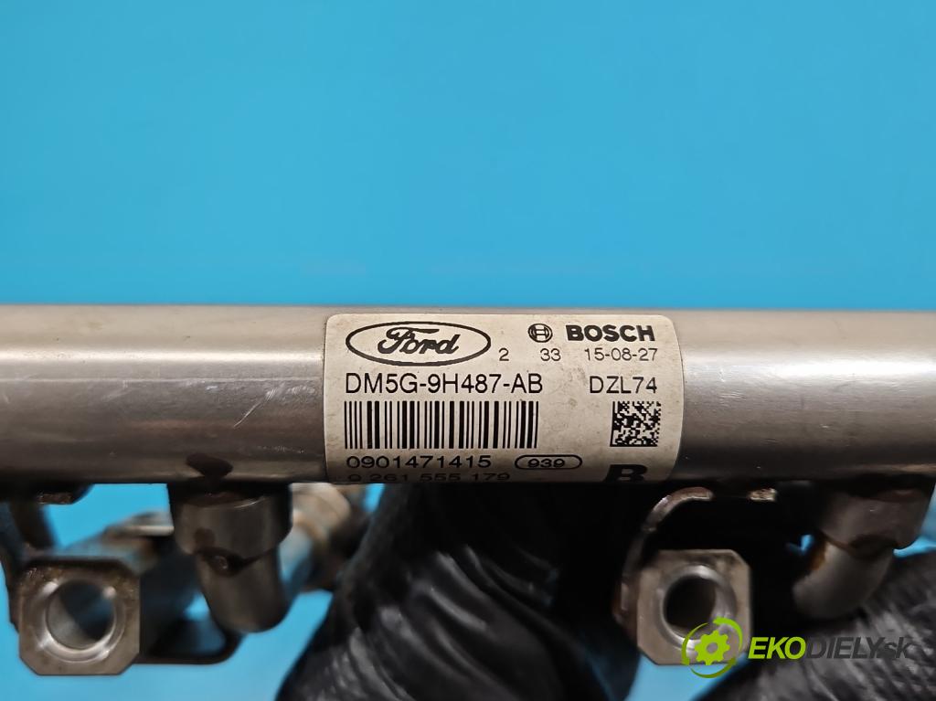 Ford B-Max  1.0 T 101 HP manual 74 kW 998 cm3 5- vstrek 0261500342 (Vstrekovač paliva)