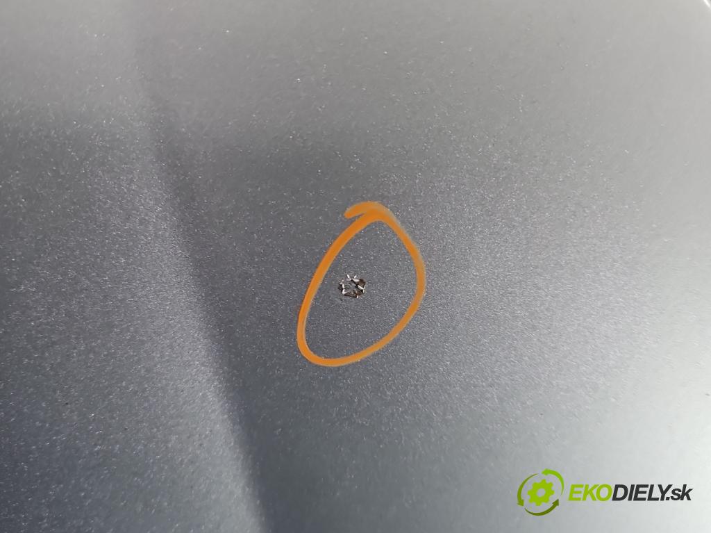 Vw Golf V 2003-2009 1.9 tdi 105 HP manual 77 kW 1896 cm3 5- kapota predná