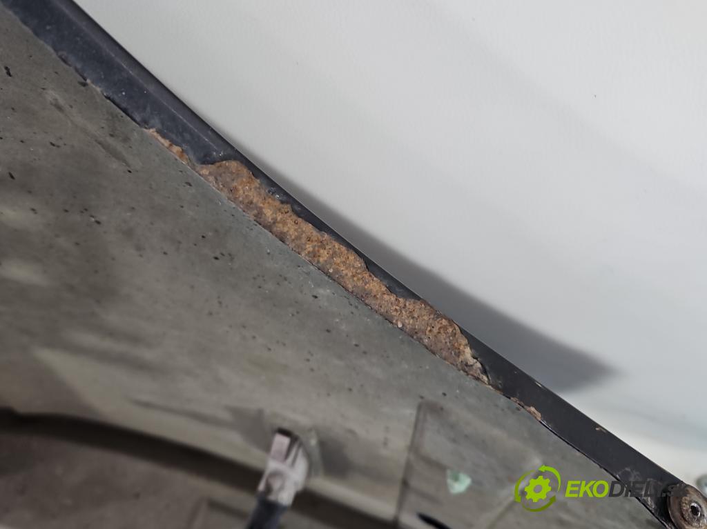 Bmw 5 E39 1996-2003 2.0 R6 150 hp manual 110 kW 1991 cm3 5- blatnik přední levý  (Levý přední blatník)