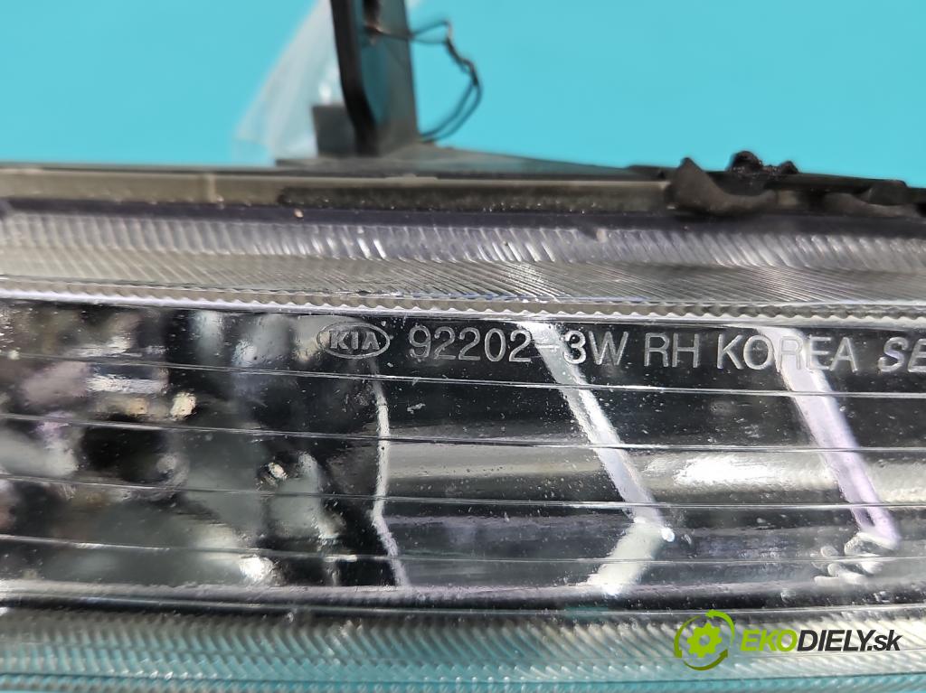 Kia Sportage III 2010-2015 2.0 crdi 184hp automatic 135 kW 1995 cm3 5- Halogen pravý  (Kľučka dverí ostatné)