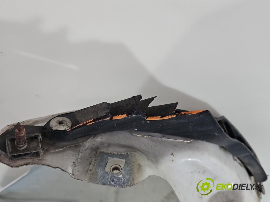 Fiat Ducato IV 2014- 2.0 jtd 116 hp manual 85 kW 1956 cm3 5- blatnik přední levý  (Levý přední blatník)