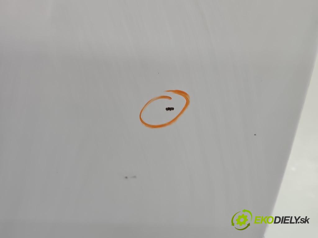 Fiat Ducato IV 2014- 2.0 jtd 116 HP manual 85 kW 1956 cm3 5- dvere predné ľavé  (Kľučka dverí ostatné)