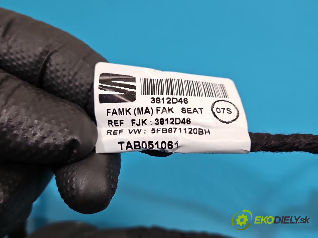 Cupra Formentor 20- 1.5 TSI 150 hp automatic 110 kW 1498 cm3 5- Balíček: dveře přední vlevo 5FB971120BH