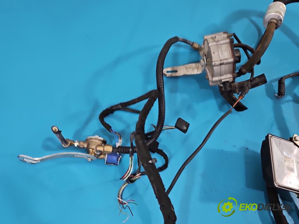 Renault Scenic I 1996-2003 2.0 16V 139 hp manual 102 kW 1998 cm3 5- instalace LPG