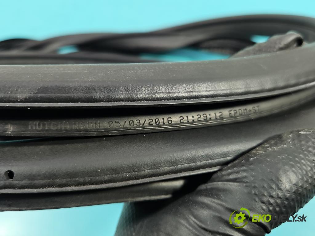 Renault Kadjar 2015-2022 1.2 131 hp manual 96 kW 1197 cm3 5- Těsnění: dveře přední levé