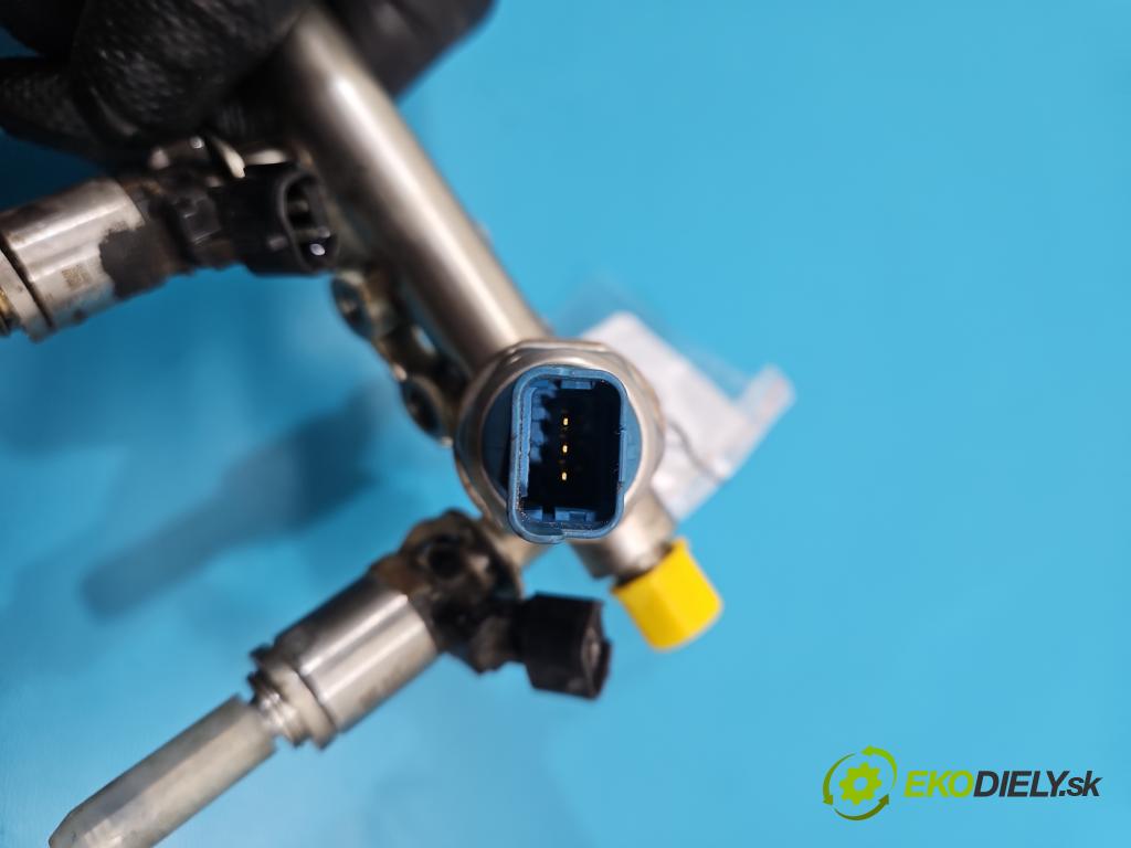 Renault Kadjar 2015-2022 1.2 131 HP manual 96 kW 1197 cm3 5- vstrek H8201420996 (Vstrekovač paliva)