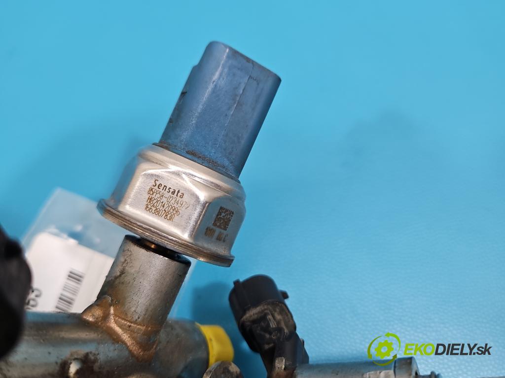 Renault Kadjar 2015-2022 1.2 131 HP manual 96 kW 1197 cm3 5- vstrek H8201420996 (Vstrekovač paliva)