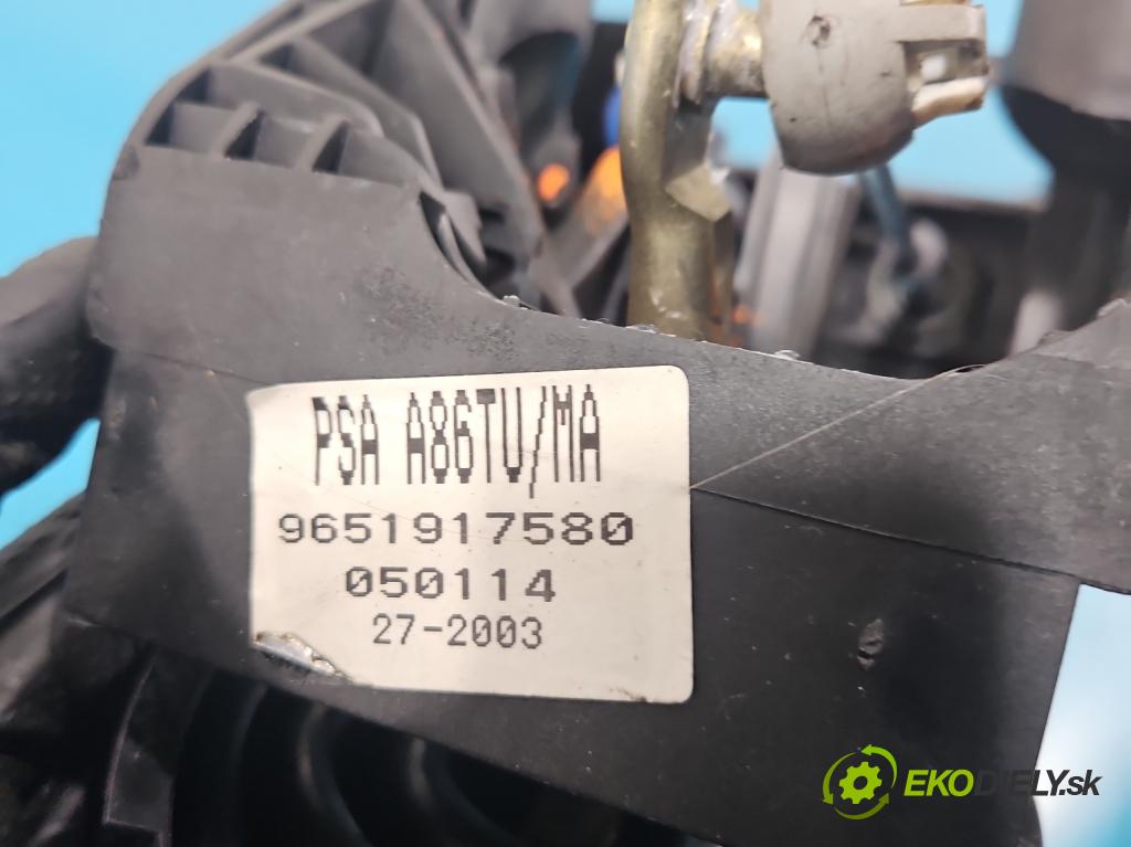 Citroen C3 I 2002-2009 1.4 8V 73 HP manual 54 kW 1360 cm3 5- Páka: Změny: stupeň,rýchlosť 9651917580 (Rýchlostná páka (kulisa))