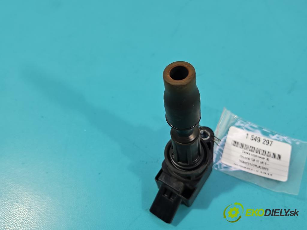 Hyundai I30 III 2016- 2.0 16V 280KM automatic 206 kW 1998 cm3 5- cívka zapalovací 27300-2GGA0 (Zážehová cívka)