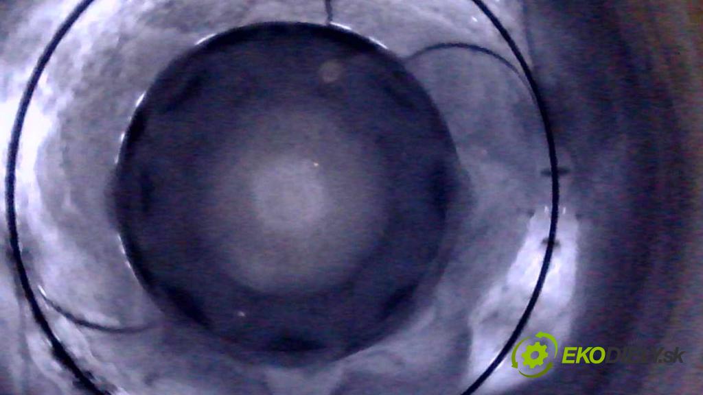 Renault Trafic III 2014 - 2.0 dci 150 HP manual 110 kW 1997 cm3 5- motor diesla M9RZ717