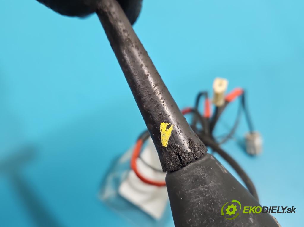 Toyota Auris I 2006-2013 2.0 D4D 126 HP manual 93 kW 1998 cm3 5- Antena