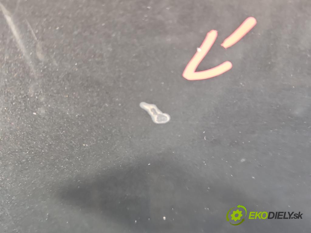 Opel Insignia A 2008-2017 2.0 cdti 131 hp manual 96 kW 1956 cm3 5- kapota přední