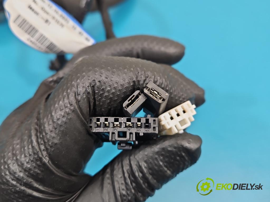 Renault Trafic III 2014 - 2.0 dci 150 HP manual 110 kW 1997 cm3 5- Zväzok: dvere zadné pravých 240516479R