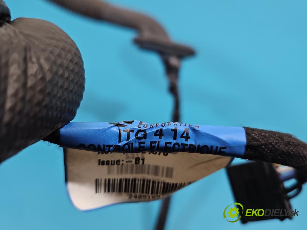 Renault Trafic III 2014 - 2.0 dci 150 HP manual 110 kW 1997 cm3 5- Zväzok: dvere zadné pravých 240516479R