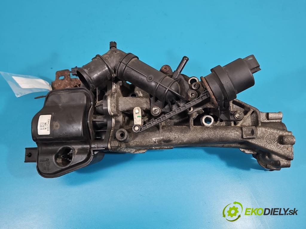 Opel Insignia A 2008-2017 2.0 cdti 131 hp manual 96 kW 1956 cm3 5- Chladič spalin 55577443
