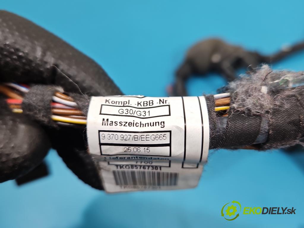 Bmw 5 G30 2017-2024 2.0d 190 hp automatic 140 kW 1995 cm3 4- Balíček: dveře přední vlevo 9370927