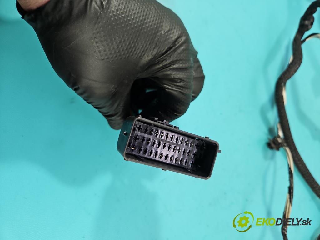 Renault Trafic III 2014 - 2.0 dci 150 hp manual 110 kW 1997 cm3 5- Balíček: dveře přední pravých 241246337R