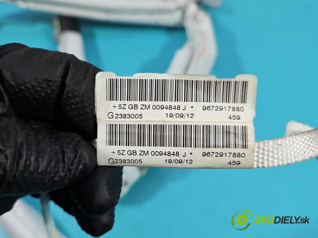 Peugeot 208 I 2012-2019 1.2 12V 82 HP manual 60 kW 1199 cm3 5- clona ľavé 9672917880