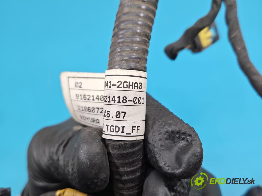 Hyundai I30 III 2016- 2.0 16V 280KM automatic 206 kW 1998 cm3 5- Balíček: vstřikovače 9162140017