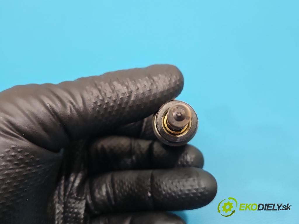 Audi A4 B9 2015-2024 2.0 TFSI 252KM automatic 185 kW 1984 cm3 4- vstrek 0261500244 (Vstrekovač paliva)