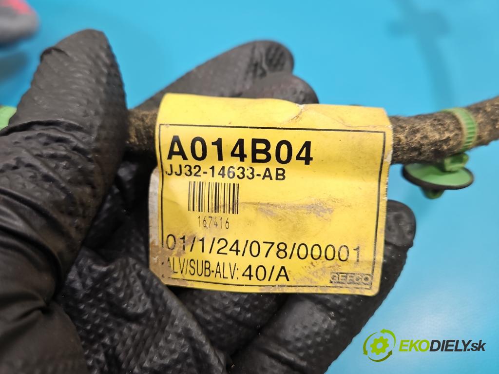 Land rover Range Rover Evoque I 2011-2018 2.0 td 150 HP automatic 110 kW 1999 cm3 5- Zväzok: dvere zadné pravých JJ32-14633-AB