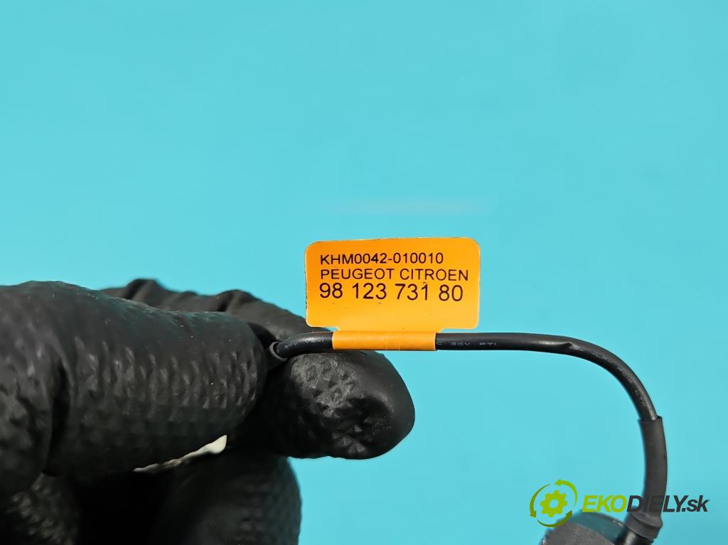 Peugeot 2008 I 2013-2019 1.2 12V 131 HP manual 96 kW 1199 cm3 5- Mikrofon: 9812373180