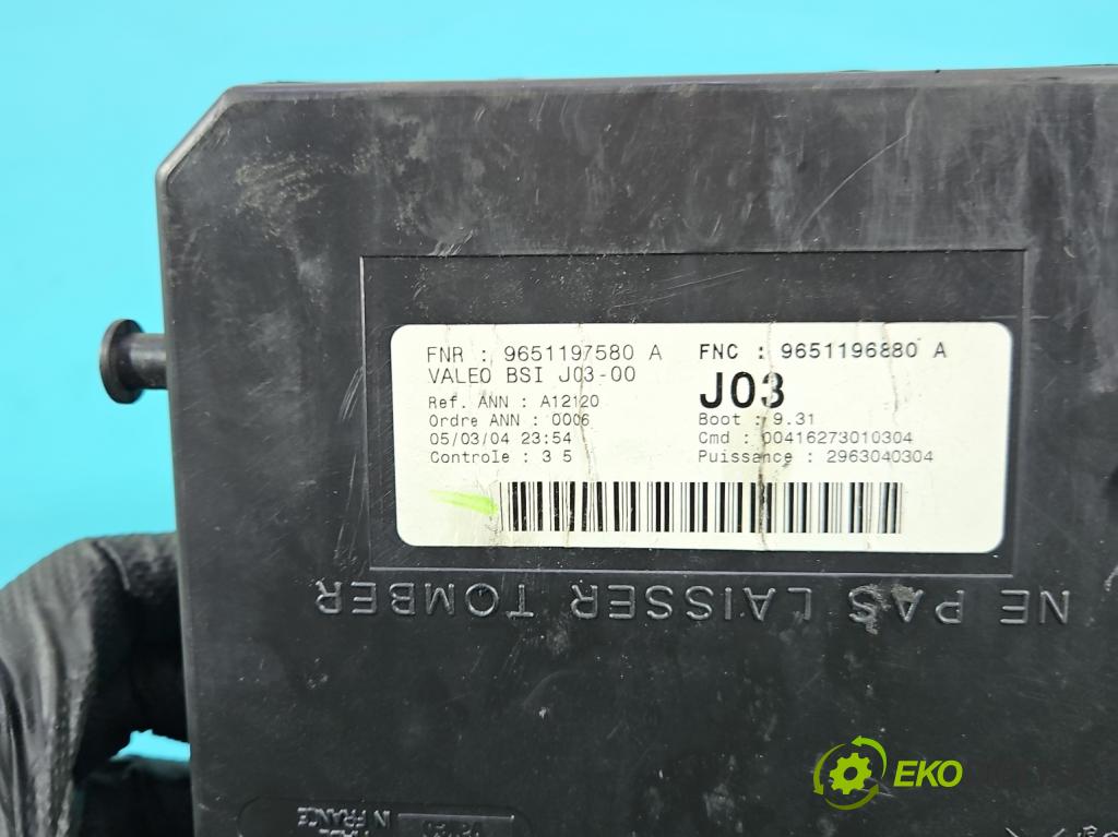 Peugeot 307 2.0 hdi 90 HP manual 66 kW 1997 cm3 5- riadiaca jednotka ostatné 9651196880A